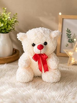 Teddy plush