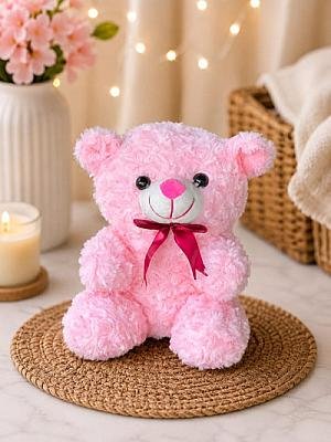 Teddy plush