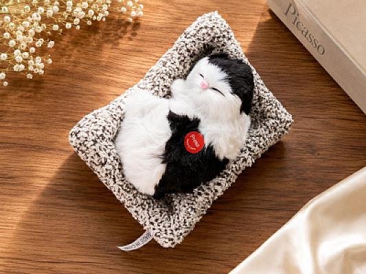 Press & Purr Sleeping Kittens